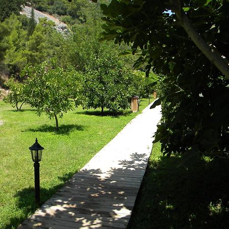 Azra Villas Çıralı Chambre photo