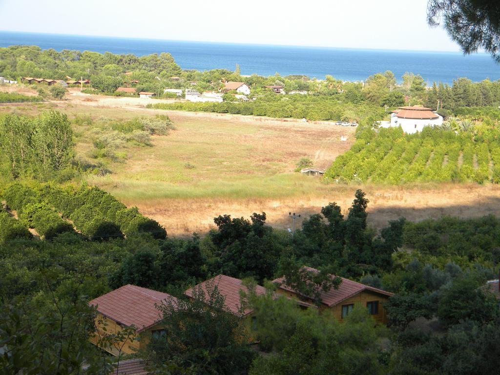 Azra Villas Çıralı Chambre photo