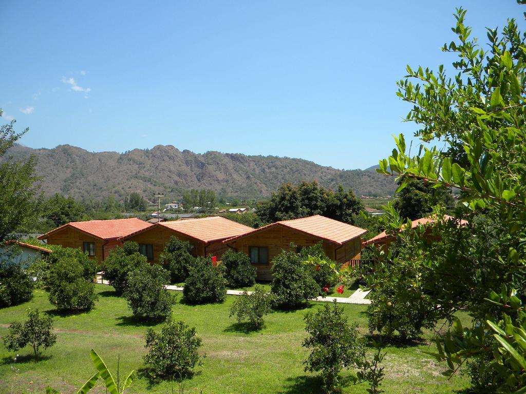 Azra Villas Çıralı Chambre photo