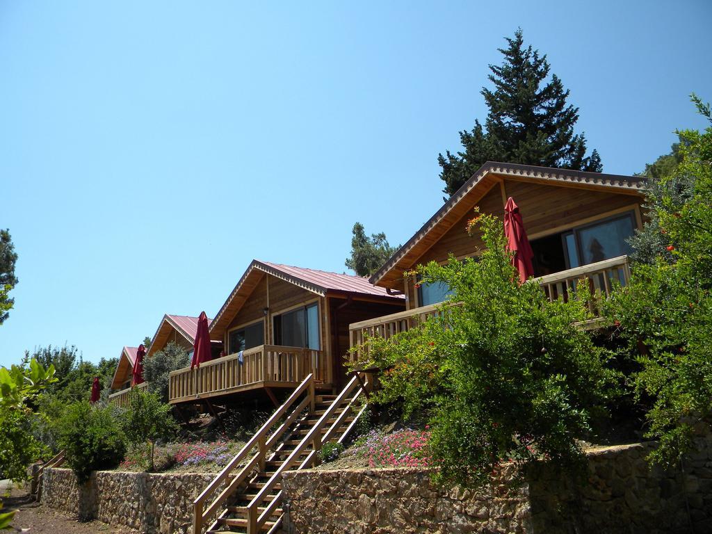 Azra Villas Çıralı Chambre photo