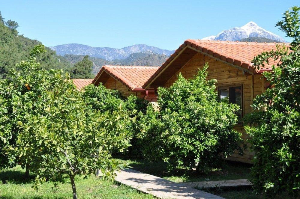Azra Villas Çıralı Extérieur photo