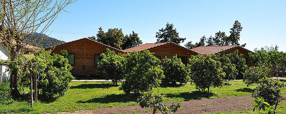 Azra Villas Çıralı Extérieur photo