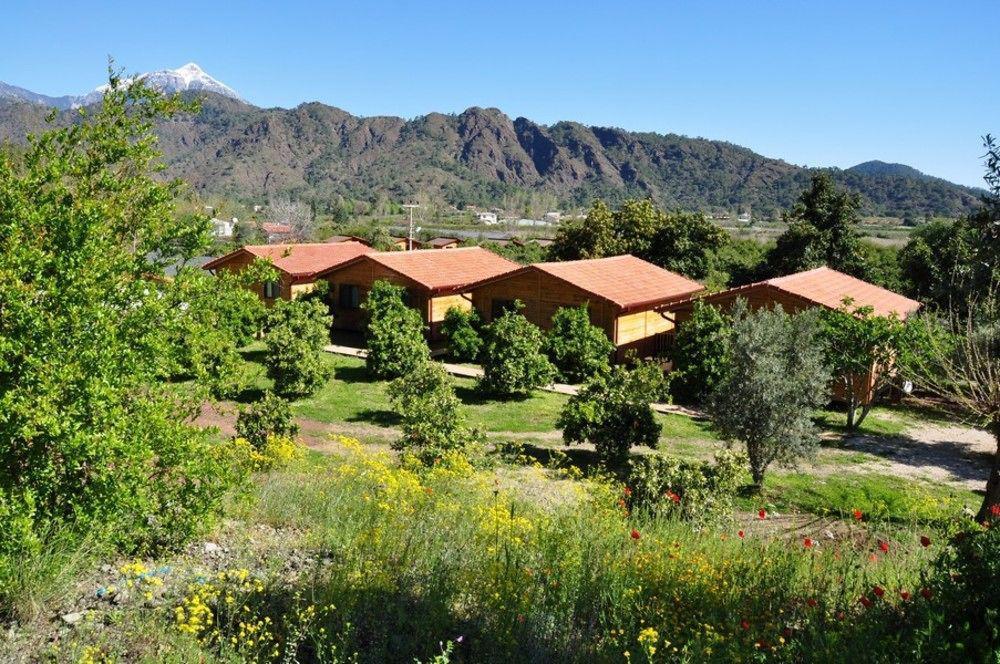 Azra Villas Çıralı Extérieur photo